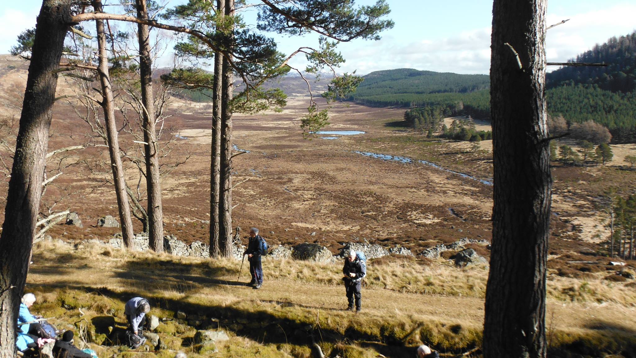 Blairgowrie & District Next Steps Walking Group